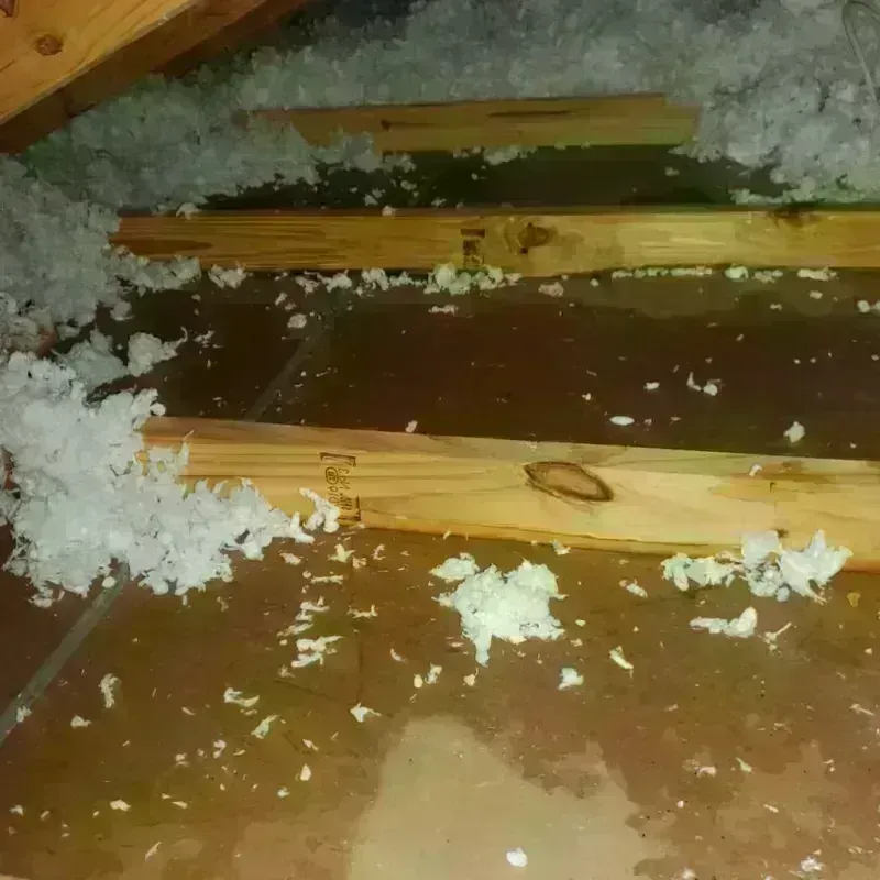 Attic Water Damage in Pittsfield, NH